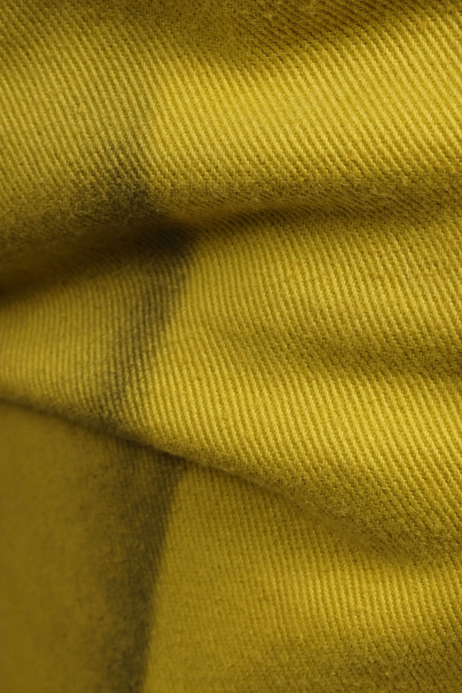 Fern Yellow Dessin